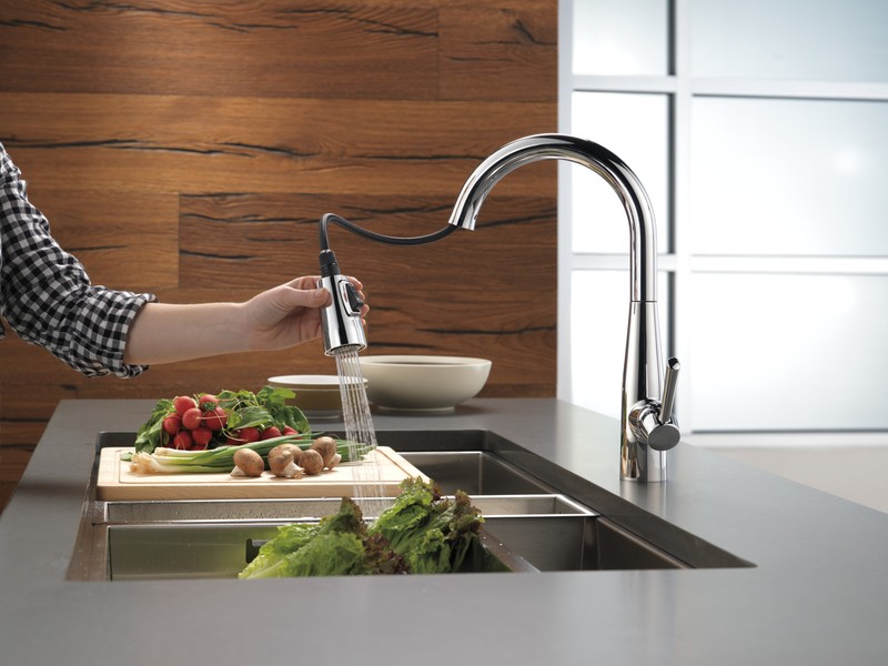 Delta Essa Pull-Down Kitchen Faucet Chrome-Certified Refurbished gallery