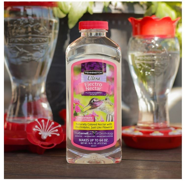 Liquid Concentrate, Electro Nectar Clear Hummingbird Food, 16 Oz. gallery
