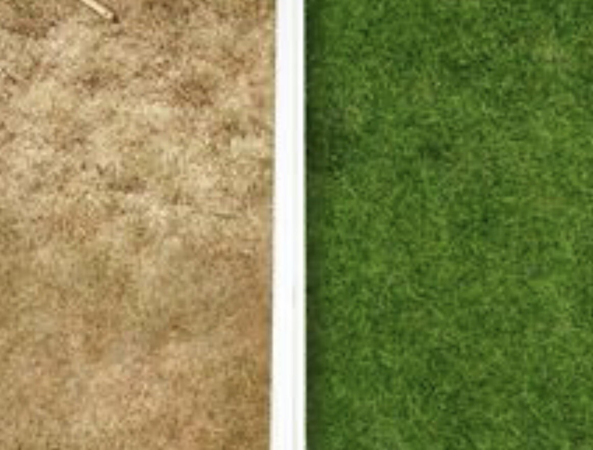 GREEN GRASS DYE LAWN PAINT. ONE GALLON FREE SHIPPING-GREAT PRODUCT! gallery
