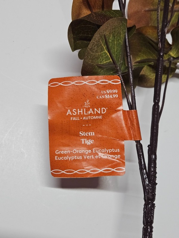 Ashland Green-Orange Eucalyptus gallery