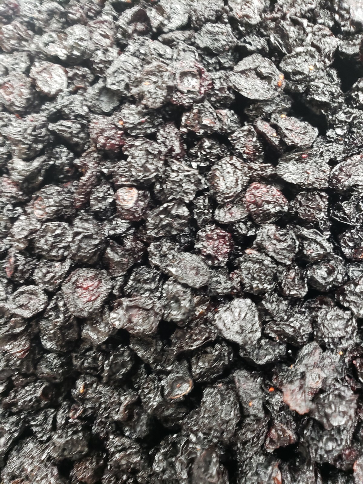 Natural Dried Blueberries UNSWEETENED, Kosher Certified, 5 Pound Box gallery