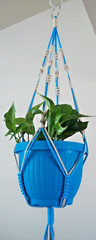 Handmade Macrame Plant Hanger – Macrame Plant Hanger – Plant Hanger Holder