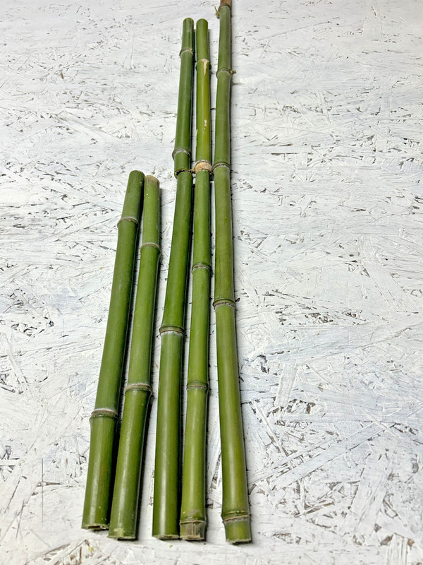 2 PCS 3/4” Diameter Fresh Cut Natural Bamboo For Decor 1ft - 4ft gallery