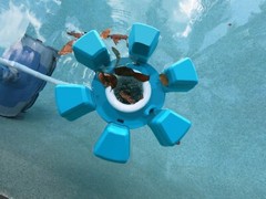 SkimmerMotion Xtreme- The Automatic Pool Cleaner – pool surface cleaner