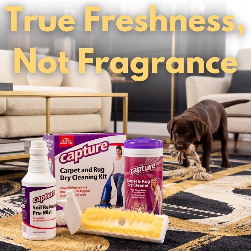 Professional Carpet Cleaning Solution - Stain & Odor Control gallery