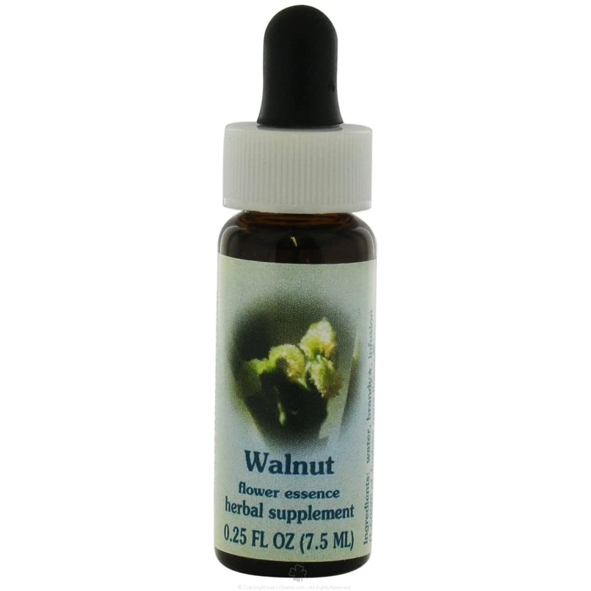 Flower Essence Services Walnut Dropper Herbal Supplement 0.25 Fl Oz 25 3 Pack gallery