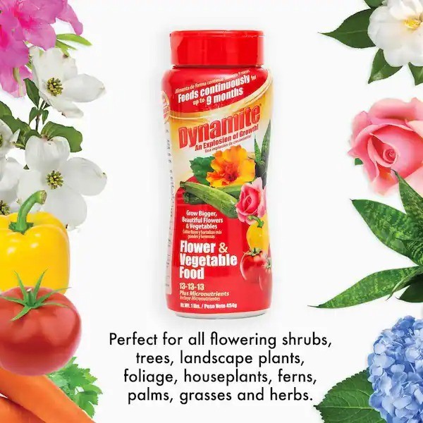 Dynamite 1 lb Flower & Vegetable Plant Food Slow Release Fertilizer Garden Plant gallery