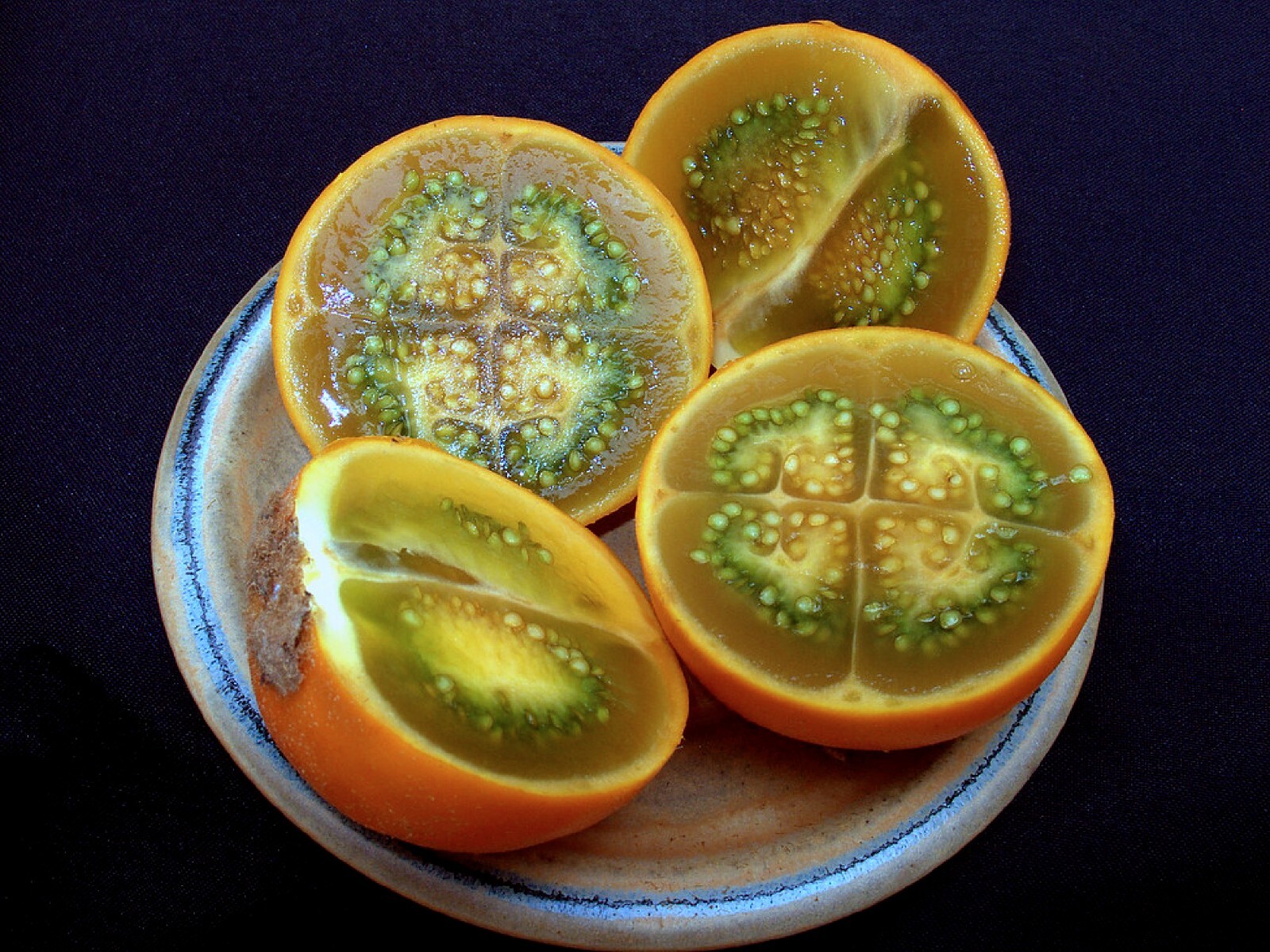 Lulo Orange Tree {Solanum quitoense} Organic 10 seeds Free Shipping! gallery