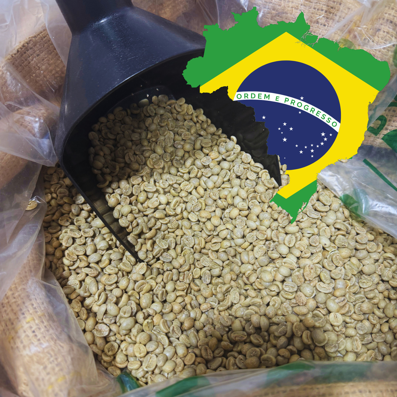 5 LB BRAZIL, UNROASTED GREEN COFFEE BEANS FIVE POUND - ARABICA, SPECIALTY gallery