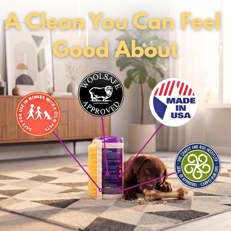 Professional Carpet Cleaning Solution - Stain & Odor Control gallery