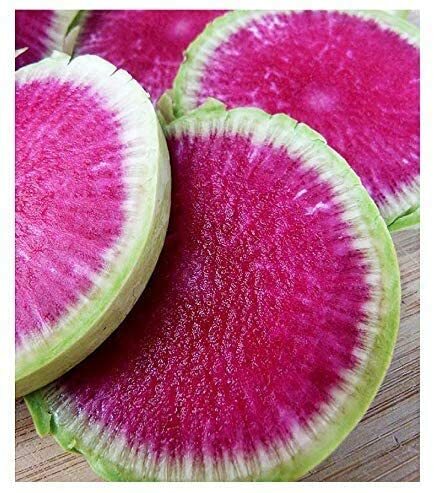 Exotic Radish Watermelon Seeds for Planting - 250+ Seeds - Rare Garden Vegetable gallery