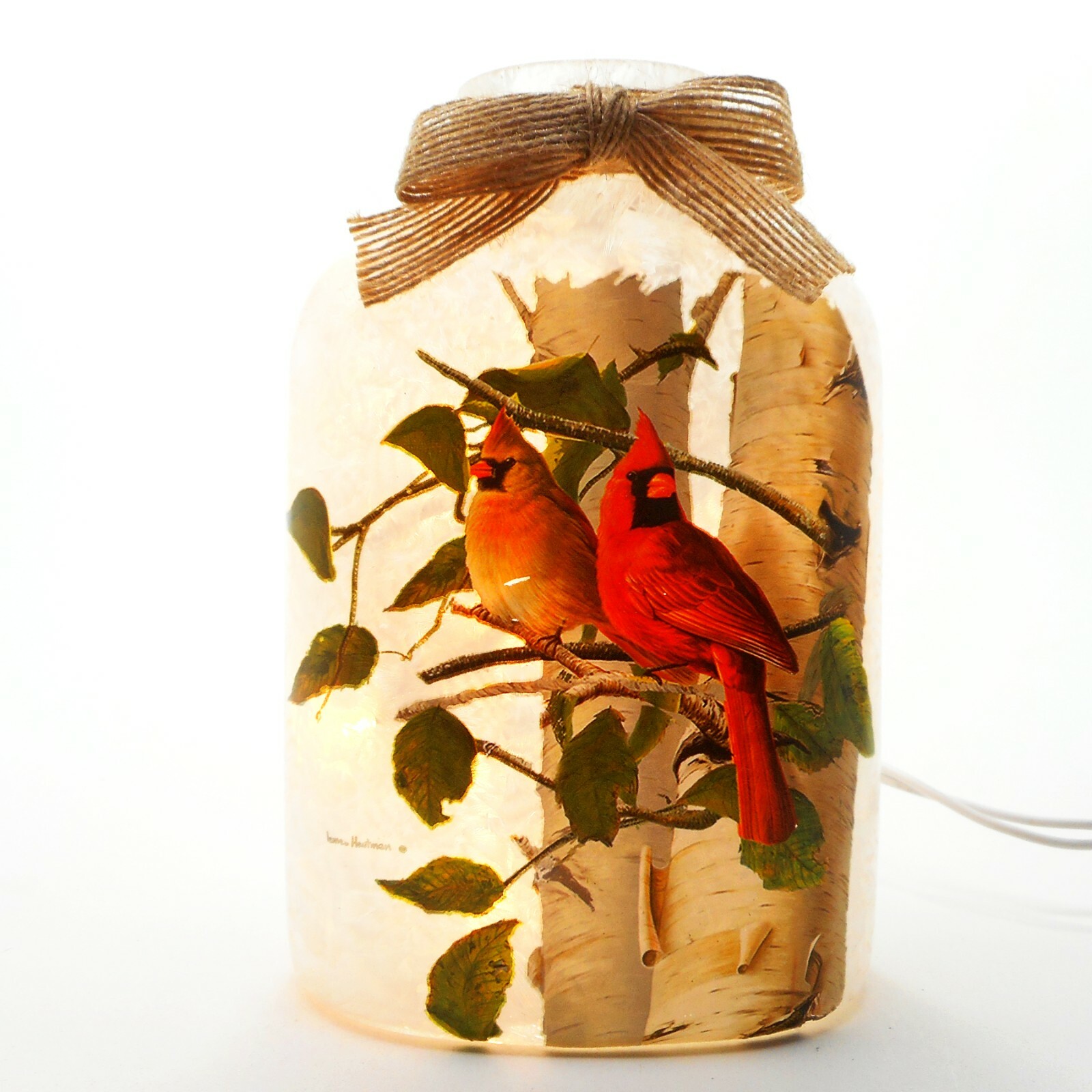 Stony Creek Decorative Lighted Glass Summer Cardinals Birch Trees 6" Jar HBA22 gallery
