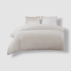 Sleep Philosophy White Bed Guardian Comforter Protector Cover Size’ Full/Queen