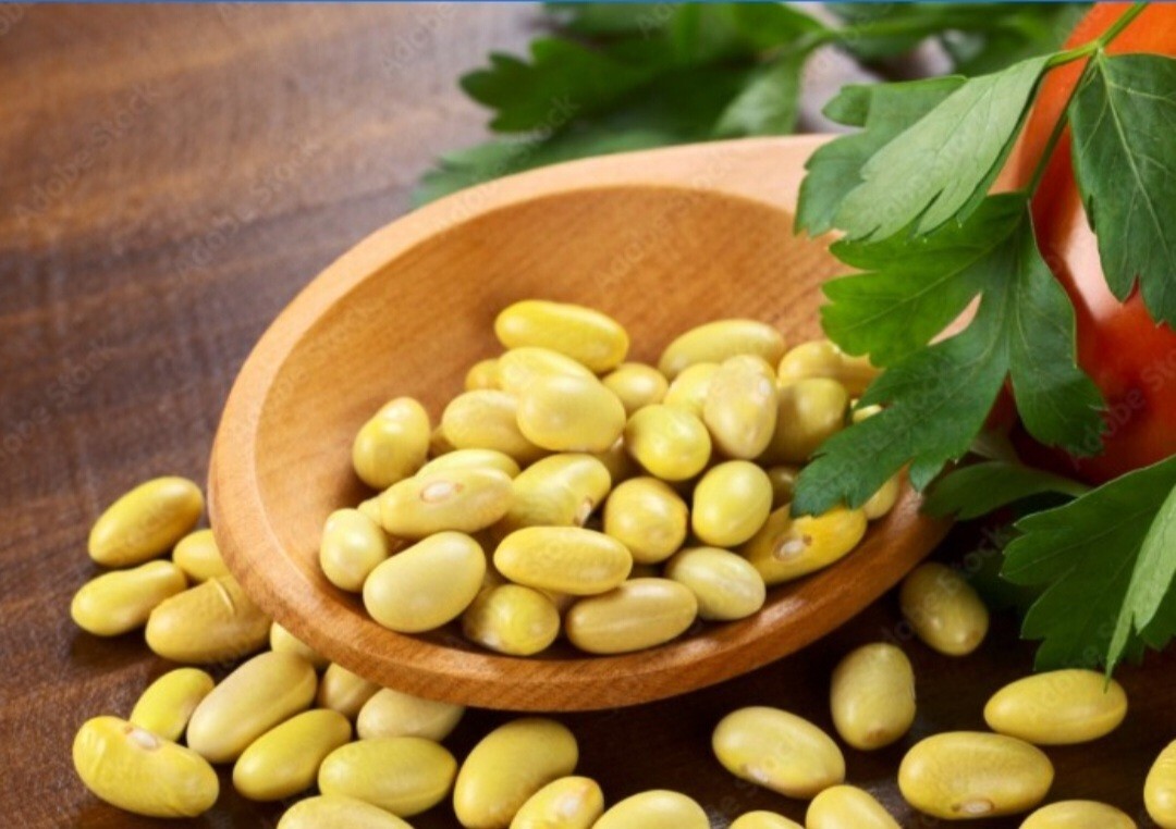 1 Bag Peruvian Beans - Frijol Peruano - 20 LBS Mexican Yellow Beans gallery