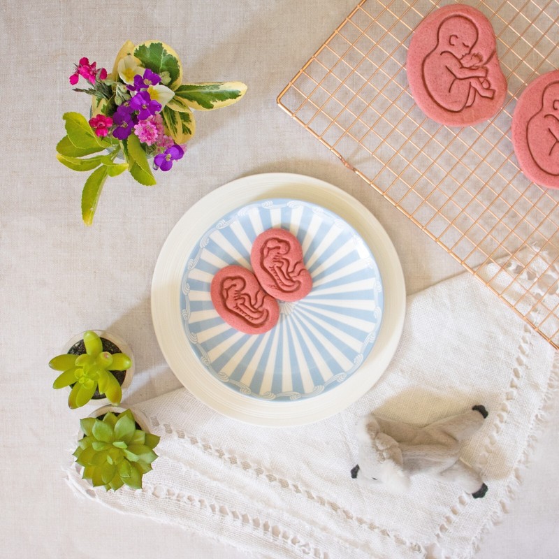 4 Weeks Fetal Development Cookie Cutter pregnancy fetus baby pregnant obstetrics gallery