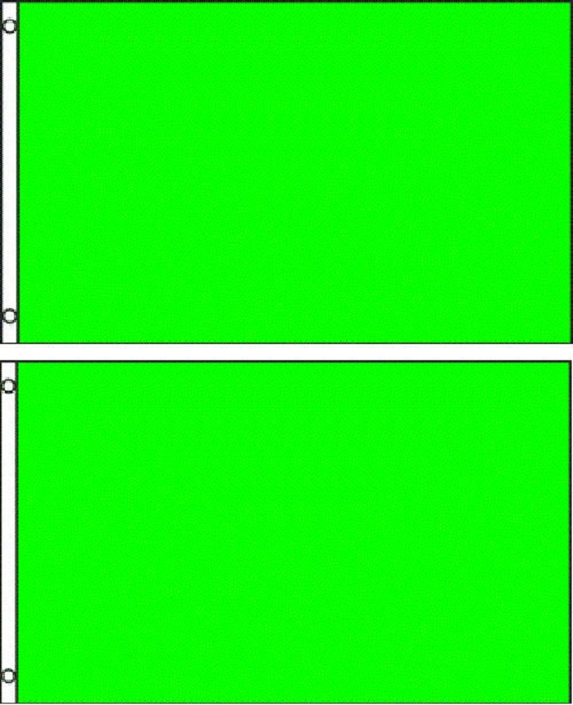 (2 pack lot) 2x3 Neon Green Solid Plain Blank Color Flag 2'x3' Banner Grommets