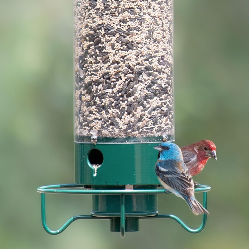 Droll Yankees Squirrel Proof Bird Feeders for Outdoor-YF-M-Flipper,YankeeFlipper gallery