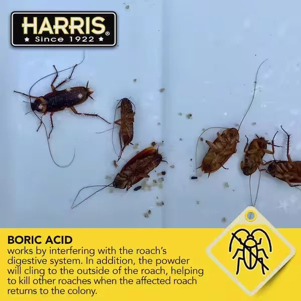 HARRIS Boric Acid Roach and Silverfish Killer Powder w/Lure for Insects (16oz). gallery