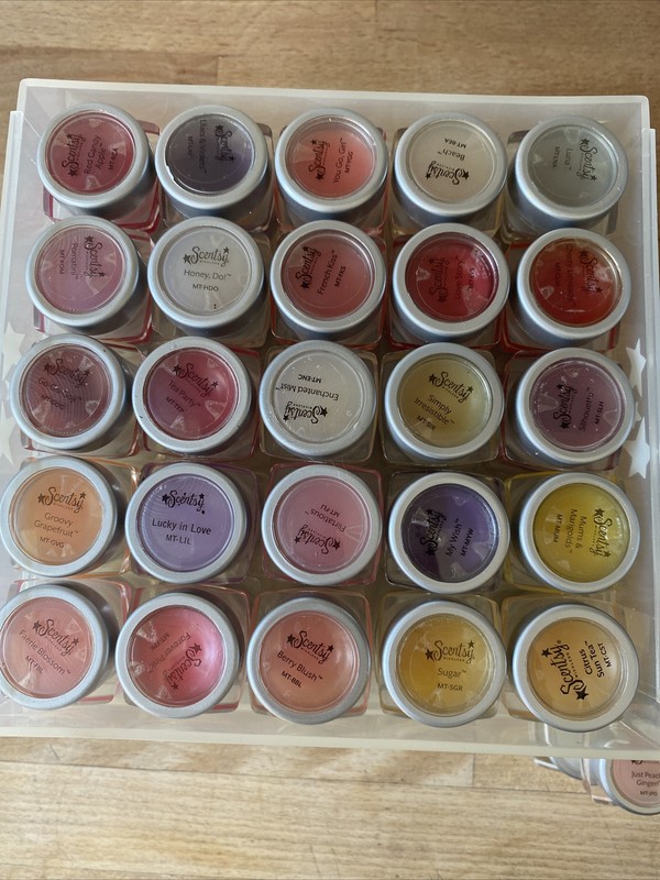 Scentsy Testers 130 Samples Many Retired w/ Case Wickless Melts gallery