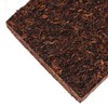 SHU PU-ERH #2 gallery