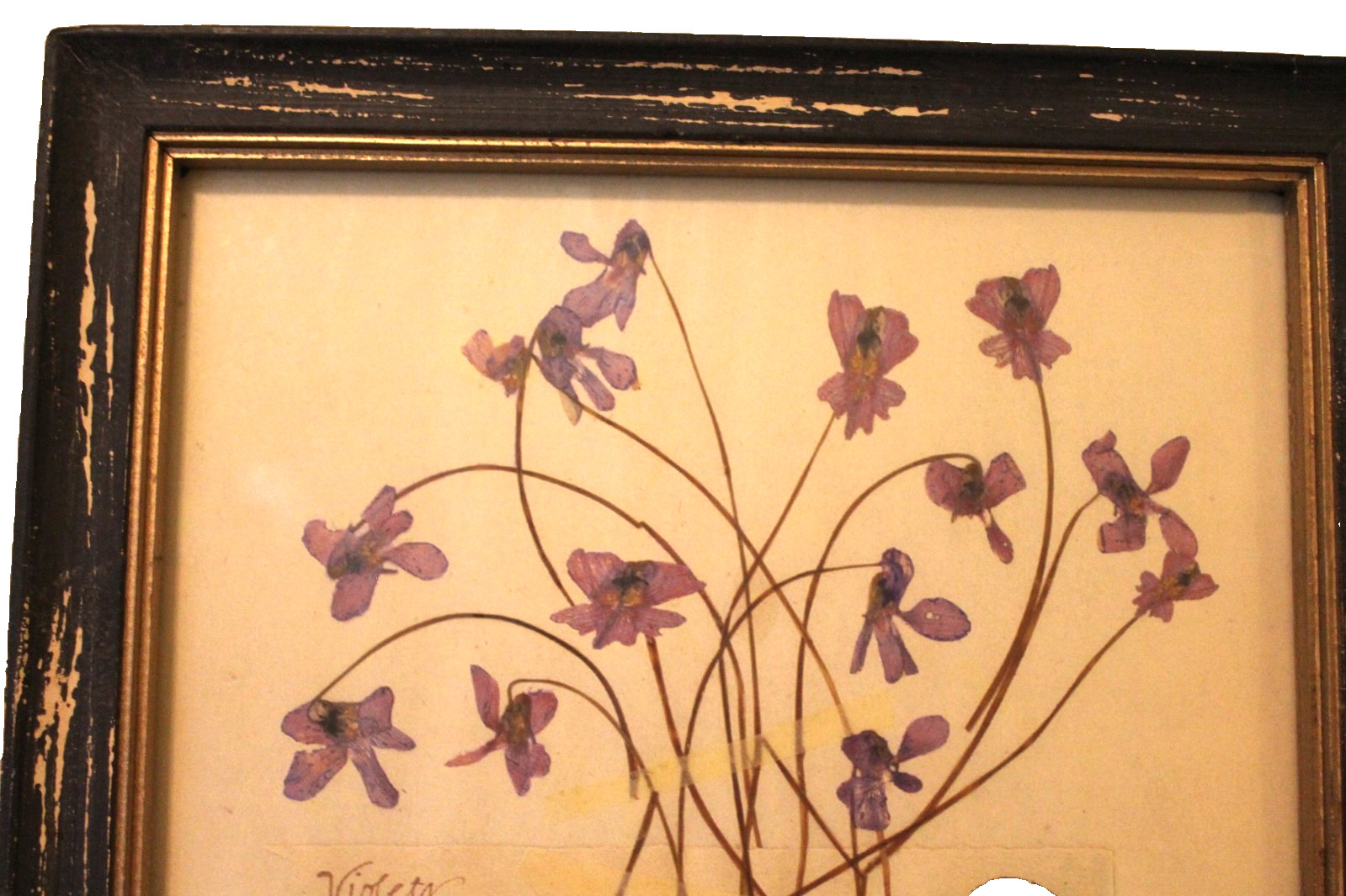 Creative Co-Op Purple Violets Floral Rustic Wall Decor Hanging Picture NEW gallery