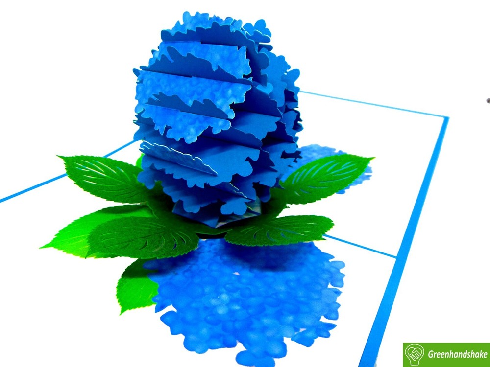 Hydrangea, 3D Popup Greeting Cards for all occasion