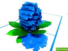 Hydrangea, 3D Popup Greeting Cards for all occasion