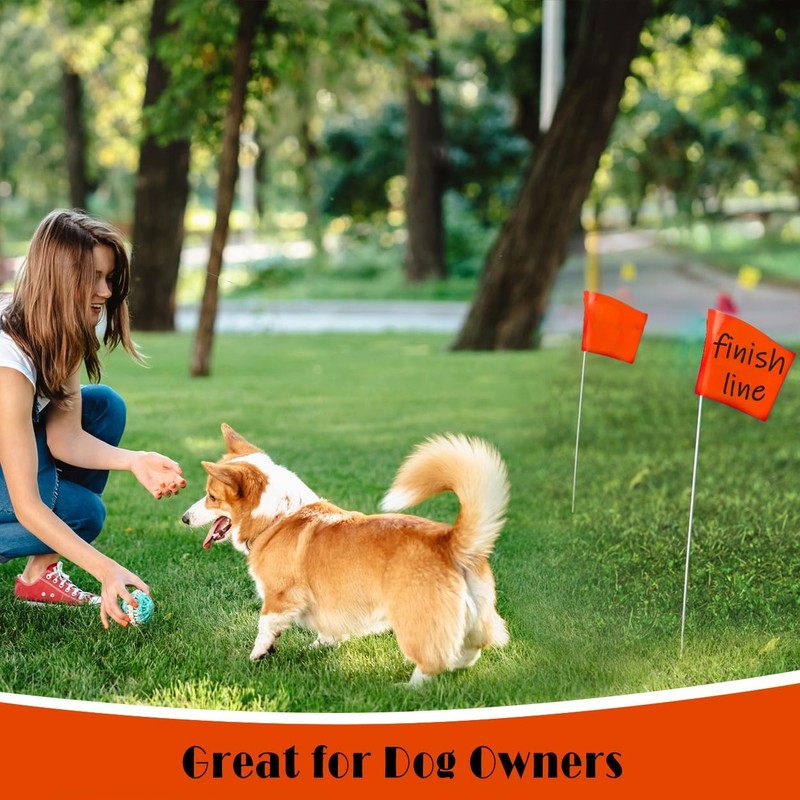 100Pack Marking Flags Orange Marker Flags - 15X4X5 Inch Lawn Flags Landscape gallery