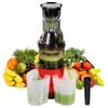 Cold Press Masticating Juicer Machine 9.45" Wide Chute Quiet Juicer Easy Clean gallery
