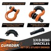 Tow Strap Recovery Kit - 3" x 20ft (35,121 lbs.) 3"x20ft+Shackle Shackle+Strap gallery
