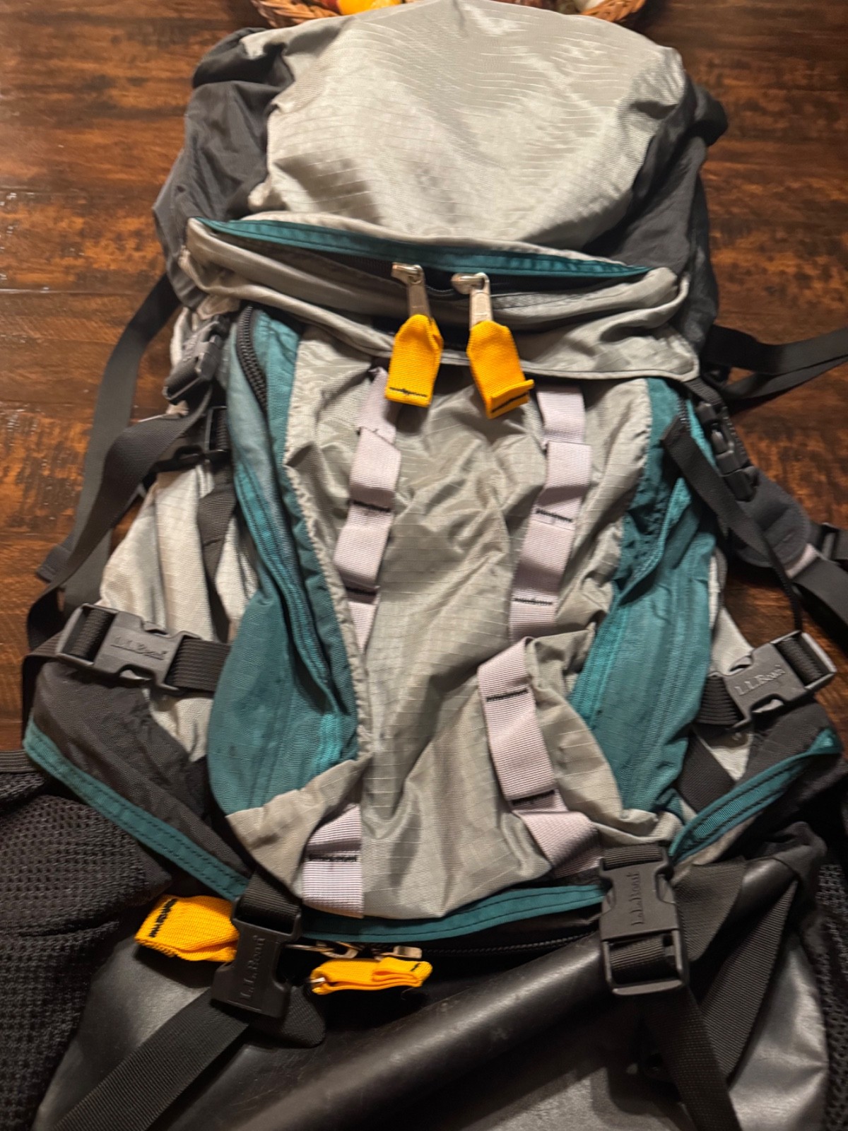L.L. Bean/Gregory Mountain Guide Pack with Gregory Active Suspension 2