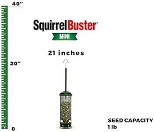 Squirrel Buster Mini Squirrel-Proof Bird Feeder for Wild Birds – 4 Metal Perc... gallery