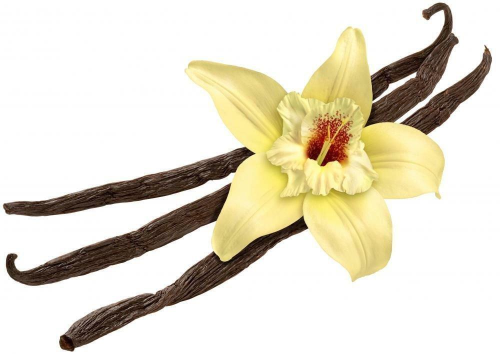 Bourbon Vanilla Bean