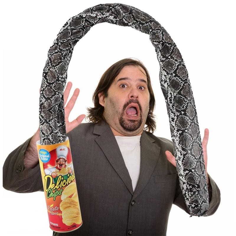 Spring Snake in a Can Prank Toy Potato Chip Jump Scare Gag Gift April Fools Joke gallery