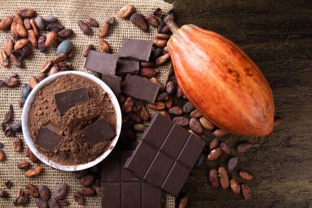 Raw Cocoa Powder 100% Original Chocolate Powder Bulk Arriba Nacional Bean 500g gallery