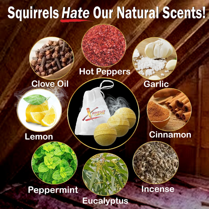 Xtreme Attic Squirrel Repellent. Drives Squirrels Out Fast! 5 PCS gallery