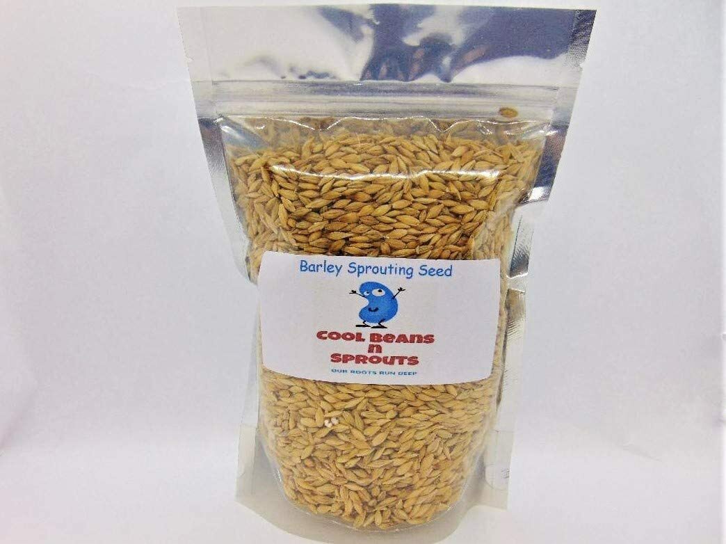 Barley Seeds for Sprouting Microgreens, COOL BEANS N SPROUTS. gallery