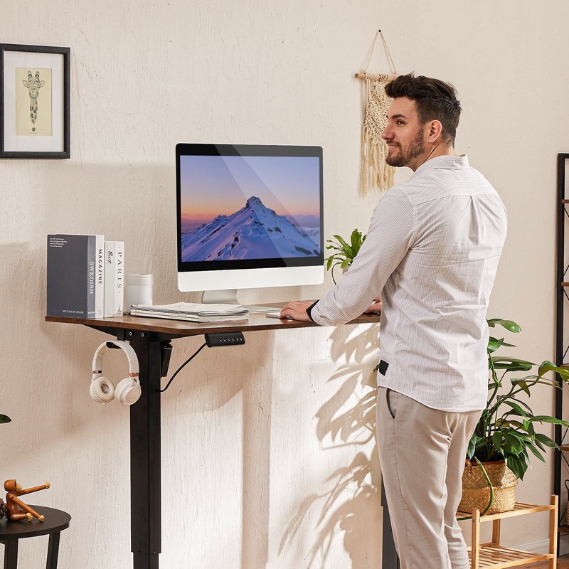 CONCETTA Electric Height Adjustable Desk 48x24 Sit Stand Desk Rust Freeship gallery