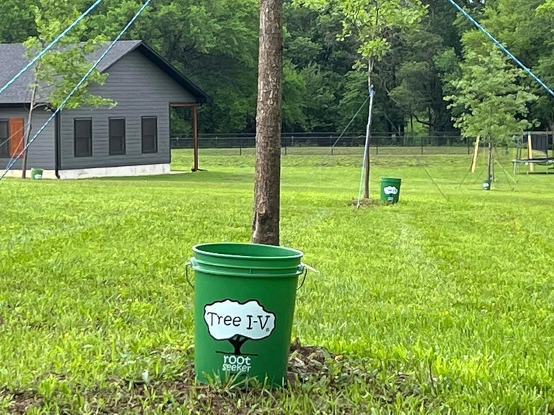 Time-Saving Tree I-V Root Feeder System | Efficient 5-Gallon Watering Solution gallery