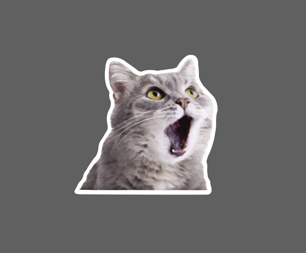 Surprised Cat Sticker Meme Waterproof NEW - Buy Any 4 For $1.75 EACH Storewide!