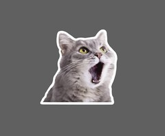 Surprised Cat Sticker Meme Waterproof NEW – Buy Any 4 For $1.75 EACH Storewide!