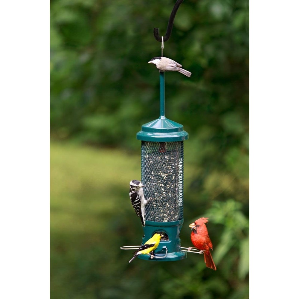 Squirrel Buster Legacy Squirrel-proof Bird Feeder w/4 Metal Perches, 2.6-pound S gallery