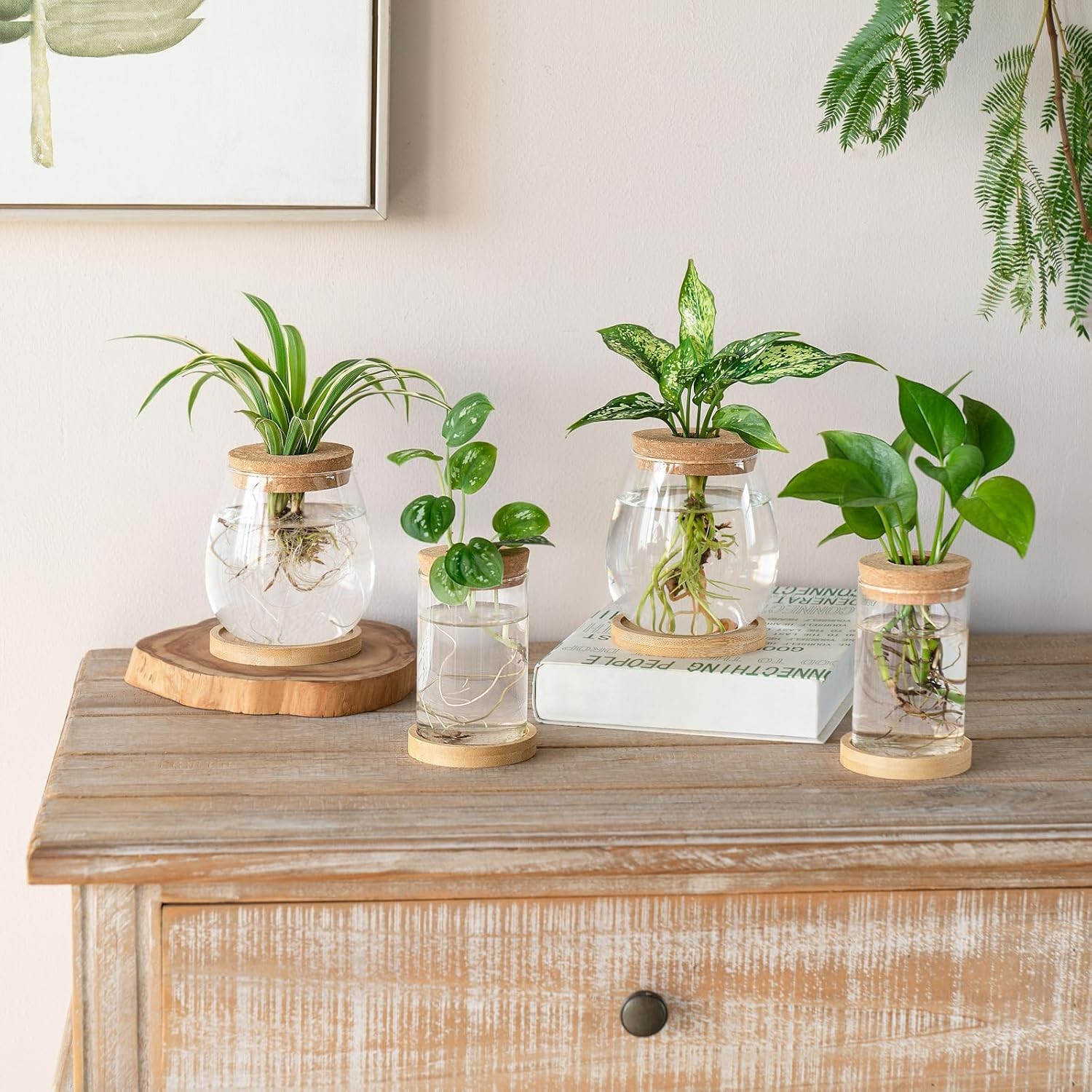 4 Pcs Plant Propagation Stations Desktop Propagated Plant Jars Terrarium Glass gallery