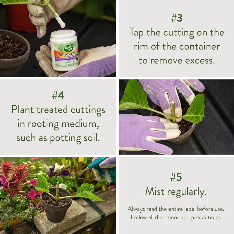 2 Pack TakeRoot Rooting Powder - Boost Your Plant Growth & Propagation Success gallery