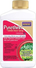 Pyrethrin Concentrate Garden and Insect Spray, Bonide Products, 8 ounces