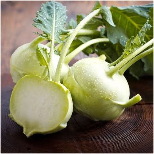 White Vienna Kohlrabi Seeds For Planting (Brassica oleracea) gallery