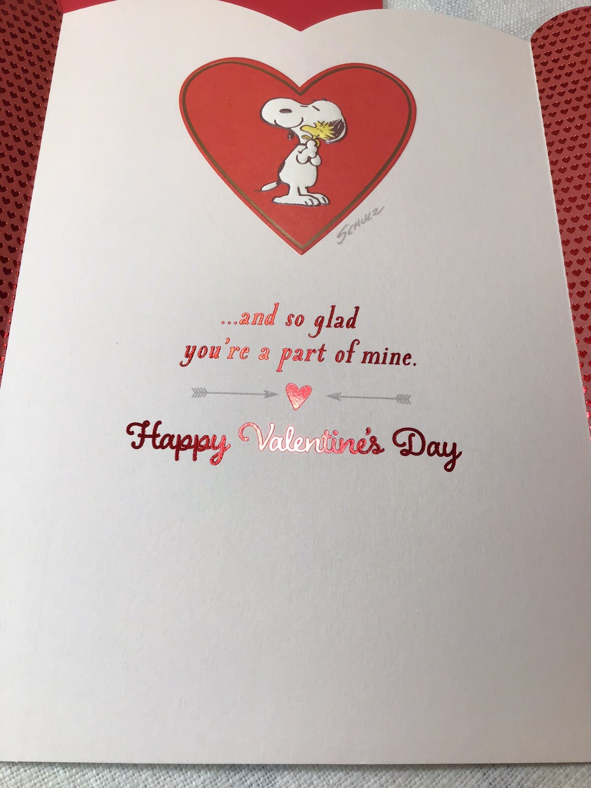 SOMEONE SPECIAL Hallmark Happy Valentine’s Day Card SNOOPY Peanuts Family Friend gallery