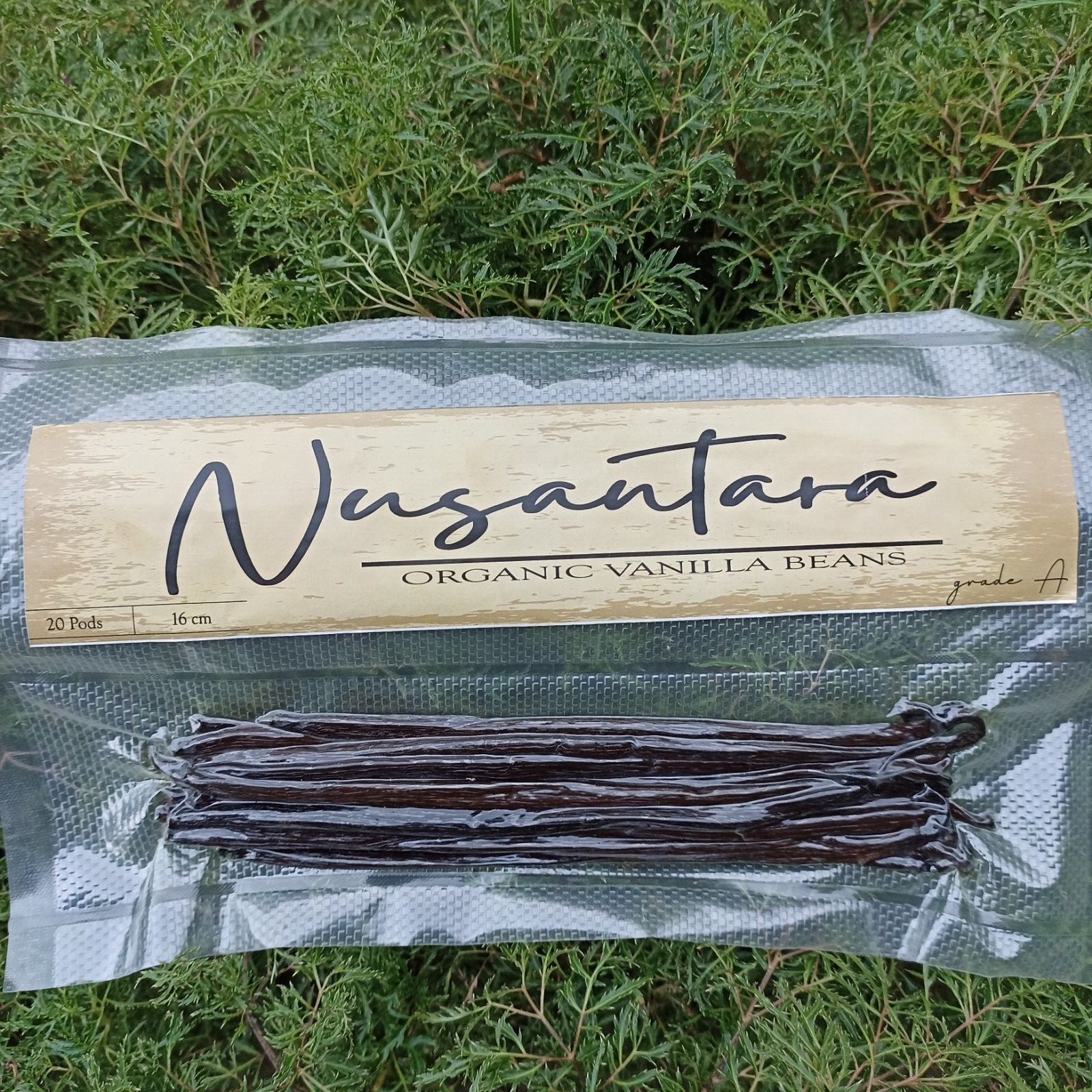 Vanilla beans premium Grade A Planifolia Gourmet 20 pods,16-18cm up gallery
