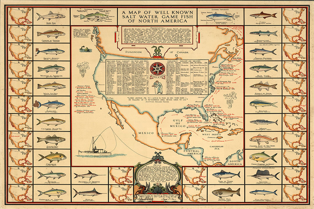 1930s Saltwater Game Fish Map North America Fishing Map Wall - POSTER 20"x30" gallery