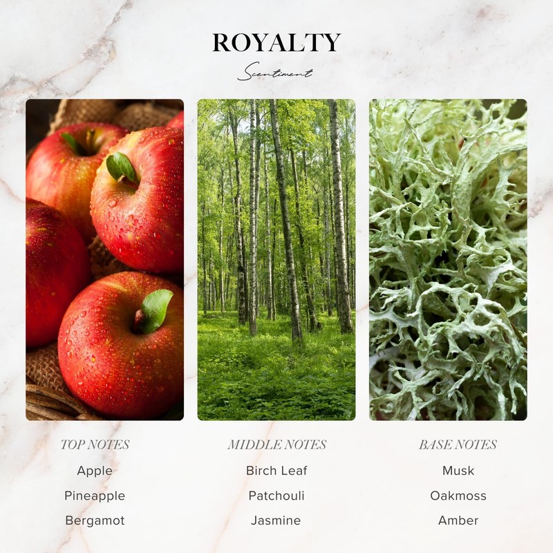Diffuser Oil Sample Set – 3 Pack Royalty, Brilliance, Santal, Pineapple – Saf... gallery